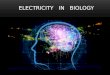 PO WER - XX LO Gdańsk - Electricity in biology - UG