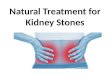 Natural Treatment for Kidney Stones in Hindi Iकिडनी स्टोन के लिए प्राकृतिक उपचारI