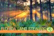 Web Florida Land Steward 2016