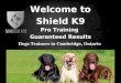 Shield K9 – Dog & Puppy Training Classes Kitchener/Waterloo