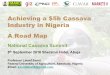 Achieving a $5bn Cassava Industry in Nigeria