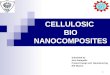 Cellulosic Bio Nanocomposite