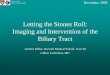 Letting the Stones Roll: Imaging and Intervention of the Biliary Tract