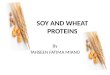 Soybean proteins