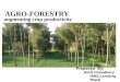 Role of agroforestry in augmenting crop productivity