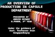AN OVERVIEW OF PRODUCTION IN CAPSULE DEPARTMENT