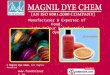 Synthetic Food Colours by Magnil Dye Chem Mumbai
