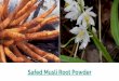 About Safed Musli Root Powder