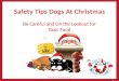 Safety Tips for Dogs At Christmas - Toxic Food (1 or 5)
