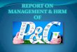Procter and Gamble HRM report 2015 NAR