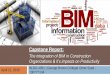 Omer Syed - The Integration of BIM in Construction Organizations & its Impacts on Productivity - Presentation