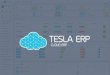 Tesla ERP - Introduction