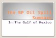 BP Gulf of Mexico oil spill summary