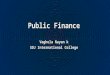 Public finance chapter 7