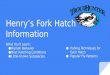 Henry’s Fork Hatch Information