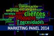 Marketing panel 2014 raddar sap version 3