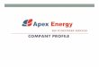 Apex Energy Company