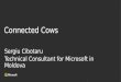 ms connected cows