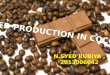 cocoa  seed production technology
