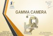 Gamma camera scintigraphie