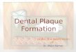 Dental plaque formation