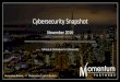 Momentum Partners Cybersecurity Snapshot | November 2016