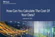 How Can You Calculate the Cost of Your Data?