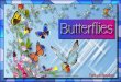 Butterflies - animated widescreen