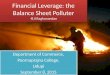 Financial leverage as the balance sheet polluter b.v.raghunandan
