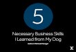 5 Necessary Business Skills I Learned from My Dog