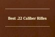 Best .22 Caliber Rifles