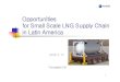 Opportunities for Small Scale LNG Supply Chain in Latin America