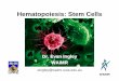 Hematopoiesis: Stem Cells