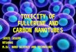 TOXICITY OF FULLERENE AND CARBON NANO TUBES