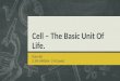 Cell – the basic unit of life