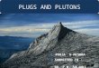 Plugs and plutons