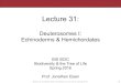 BIS2C: Lecture 31: Deuterosomes I: Echinoderms & Hemichordates