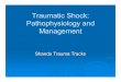 Traumatic Shock: Pathophysiology and Management (PDF)