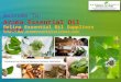 Buy Online Indian Spice Oils at Aromaessentialoilstore.com