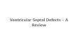 Ventricular Septal Defects - A Review