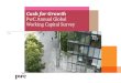 PwC working capital survey 2014: Cash for Growth