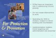For Protection and Promotion: The Design and Implementation of Effective Safety Nets