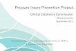Maree Connolly - NSW Clinical Excellence Commission - Change Management and Engaging Clinicians in NSW in Pressure Injury Prevention
