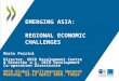 Regional Challenges: A view from Asia (Part 2) - OECD Global Parliamentary Network meeting, Tokyo, Japan