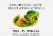 Eukaryotic gene regulation models (by np mendez)