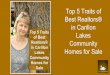 Top 5 Traits of Best Realtors® in Carillon Lakes Community Homes for Sale