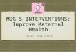 Millennium Development Goal 5: Maternal Health Interventions