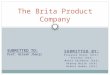 The brita product company