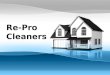 BUS161.01 Business Presentation - Re-Pro Cleaners