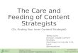 The Care and Feeding of Content Strategists (Or, How to Find Your Inner Content Strategist)